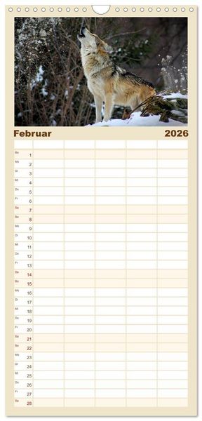 Produktbild: Familienplaner 2026 - Begegnung mit dem Wolf mit 5 Spalten (Wandkalender, 21 x 45 cm) CALVENDO