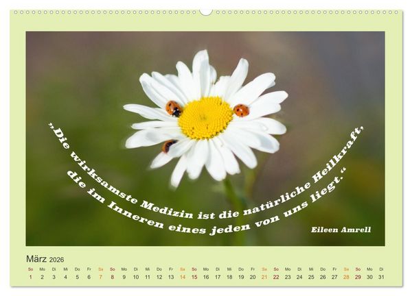 Produktbild: Co-Kreation, Gemeinsam Wunder erschaffen (Wandkalender 2026 DIN A2 quer), CALVENDO Monatskalender