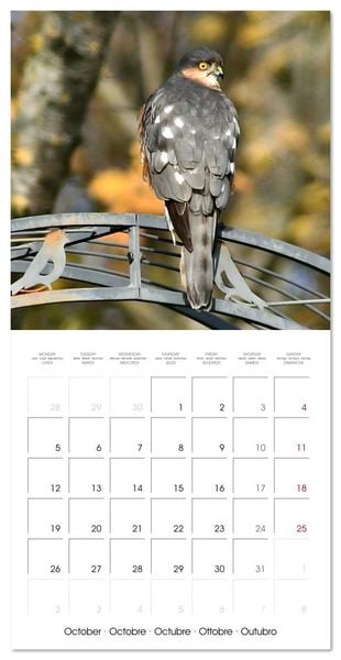 Produktbild: WILD GARDEN ANIMALS (Wall Calendar 2026 12 &times; 12 Inch) CALVENDO 12 Month Wall Calendar