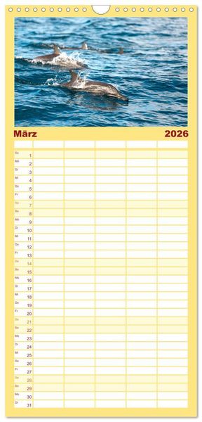 Produktbild: Familienplaner 2026 - Mosambik - Eine Perle im S&uuml;den Afrikas. mit 5 Spalten (Wandkalender, 21 x 45 cm) CALVENDO