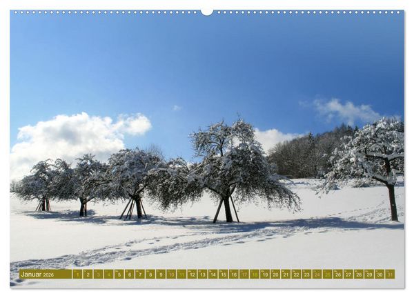 Produktbild: Apfelbaum und Streuobstwiesen (Wandkalender 2026 DIN A2 quer), CALVENDO Monatskalender