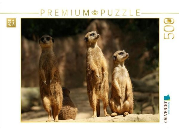 CALVENDO Puzzle In die Sonne schauen | 500 Teile Lege-Größe 48 × 36 cm Foto-Puzzle für Erwachsene