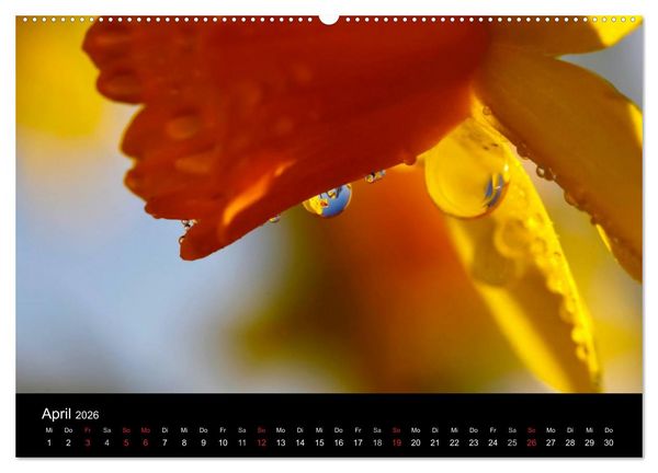 Produktbild: Wassertropfen (Wandkalender 2026 DIN A2 quer), CALVENDO Monatskalender