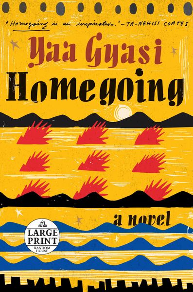 Produktbild: Homegoing