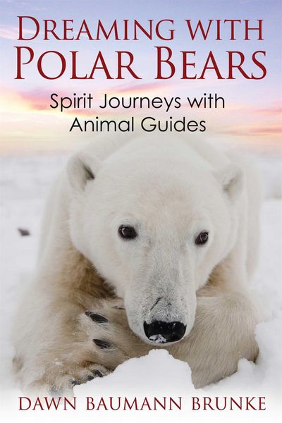 Produktbild: Dreaming with Polar Bears