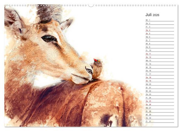 Produktbild: Tierportraits - Fine Art (hochwertiger Premium Wandkalender 2026 DIN A2 quer), Kunstdruck in Hochglanz