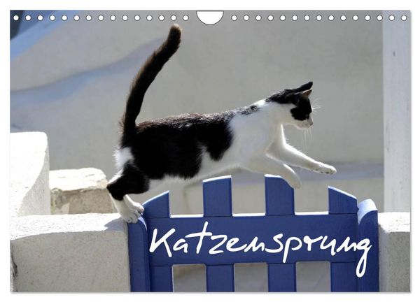 Produktbild: Katzensprung (Wandkalender 2026 DIN A4 quer), CALVENDO Monatskalender