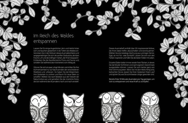 Produktbild: Black Edition: Inspiration Waldtiere