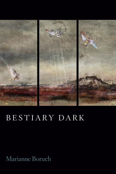 Produktbild: Bestiary Dark