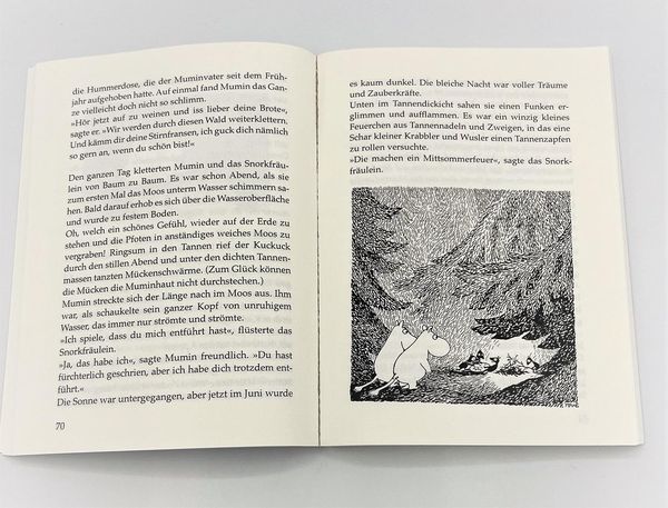 Produktbild: Die Mumins (5). Sturm im Mumintal
