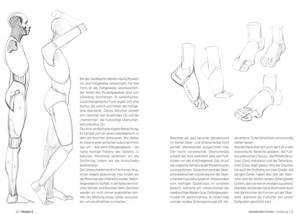 Produktbild: Morpho 2. Mehr Anatomie f&uuml;r K&uuml;nstler