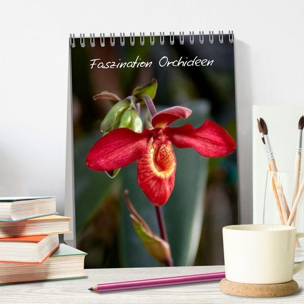 Produktbild: Faszination Orchideen (Tischkalender 2026 DIN A5 hoch), CALVENDO Monatskalender