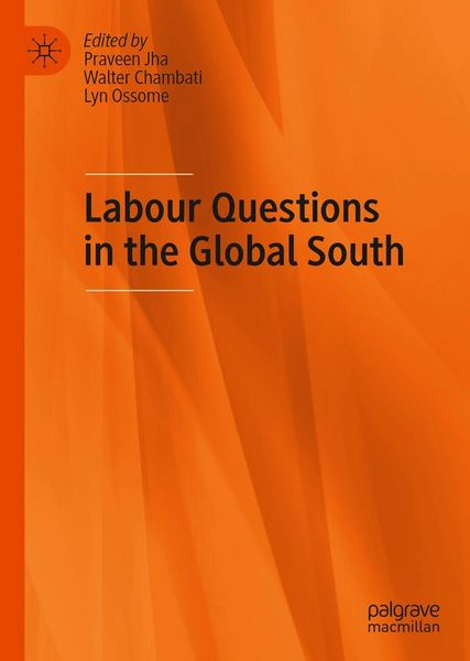 Produktbild: Labour Questions in the Global South