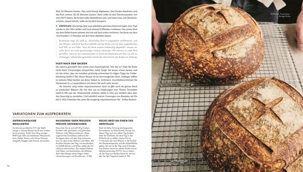 Das große Buch vom Sauerteig