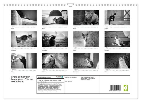 Produktbild: Chats de Santorin - Les princes d'Oia en noir et blanc (Calendrier mural 2026 DIN A3 vertical), CALVENDO calendrier mensuel