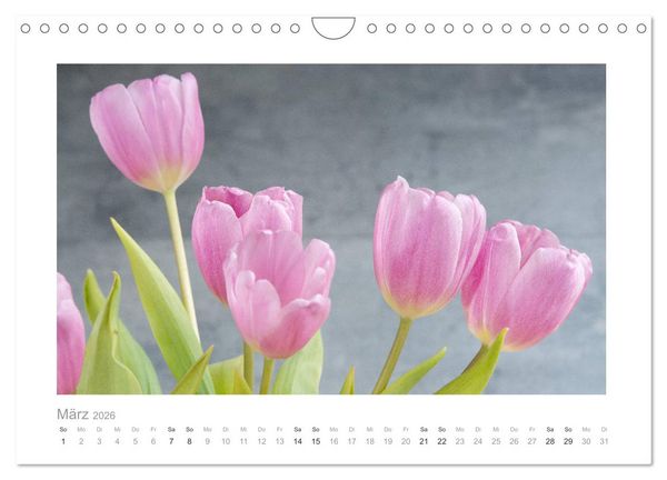 Produktbild: Blumen zart und sch&ouml;n (Wandkalender 2026 DIN A4 quer), CALVENDO Monatskalender