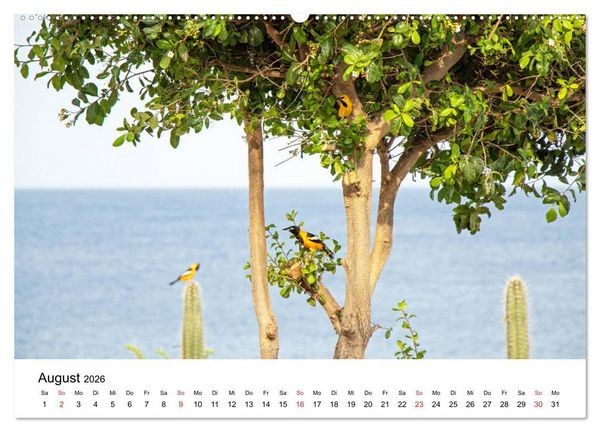 Produktbild: Curacao, die facettenreiche Karibikinsel (hochwertiger Premium Wandkalender 2026 DIN A2 quer), Kunstdruck in Hochglanz
