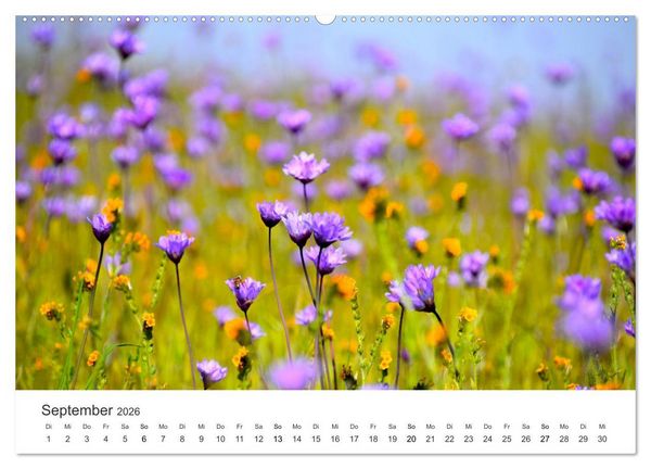 Produktbild: Die sch&ouml;nsten Blumenwiesen der Welt (Wandkalender 2026 DIN A2 quer), CALVENDO Monatskalender