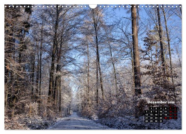 Produktbild: Rund um den Sch&ouml;nbuch (Wandkalender 2026 DIN A3 quer), CALVENDO Monatskalender