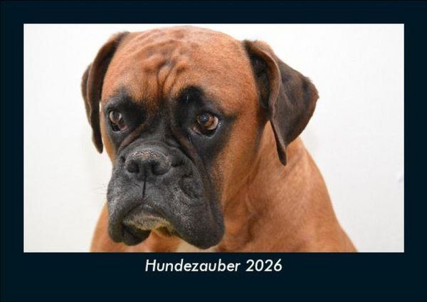 Hundezauber 2026 Fotokalender DIN A5