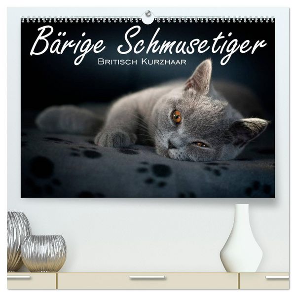 Produktbild: B&auml;rige Schmusetiger - Britisch Kurzhaar / CH-Version (hochwertiger Premium Wandkalender 2026 DIN A2 quer), Kunstdruck in Hochglanz