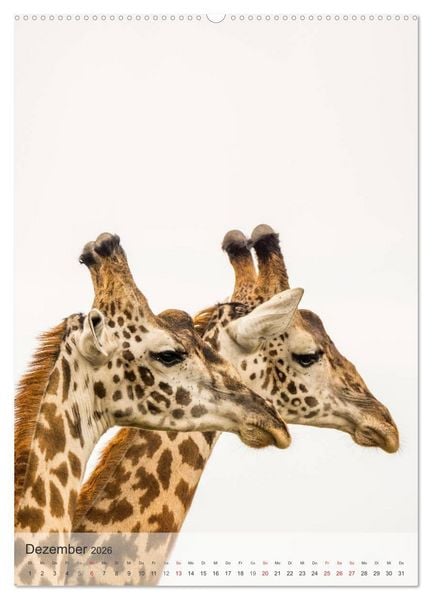 Produktbild: Emotionale Momente: Giraffen, die h&ouml;chsten Tiere der Welt. (Wandkalender 2026 DIN A2 hoch), CALVENDO Monatskalender