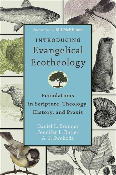 Produktbild: Introducing Evangelical Ecotheology - Foundations in Scripture, Theology, History, and Praxis