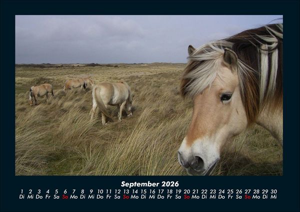 Produktbild: Die Welt der Pferde 2026 Fotokalender DIN A4