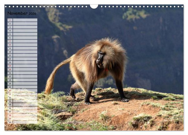 Produktbild: Abenteuer &Auml;thiopien (Wandkalender 2026 DIN A3 quer), CALVENDO Monatskalender