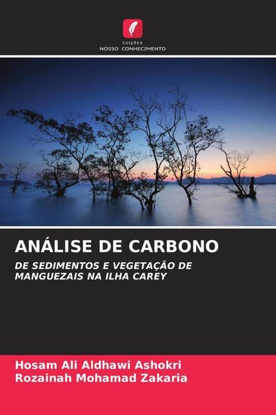 Produktbild: AN&Aacute;LISE DE CARBONO