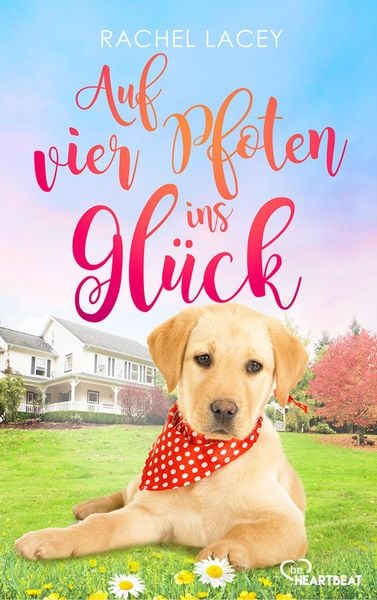 Produktbild: Auf vier Pfoten ins Gl&uuml;ck