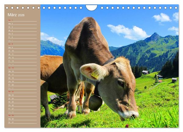 Produktbild: K&uuml;he / Geburtstagskalender (Wandkalender 2026 DIN A4 quer), CALVENDO Monatskalender