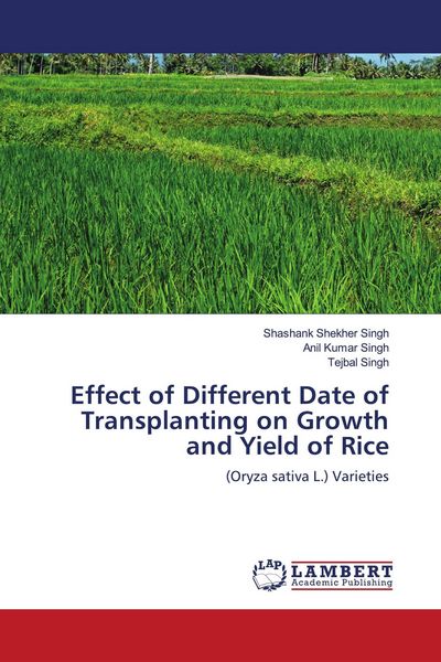 Produktbild: Effect of Different Date of Transplanting on Growth and Yield of Rice