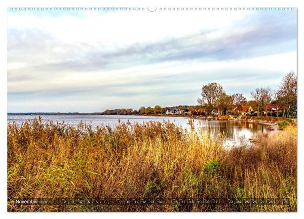 Produktbild: R&Uuml;GEN-LIEBE (hochwertiger Premium Wandkalender 2026 DIN A2 quer), Kunstdruck in Hochglanz