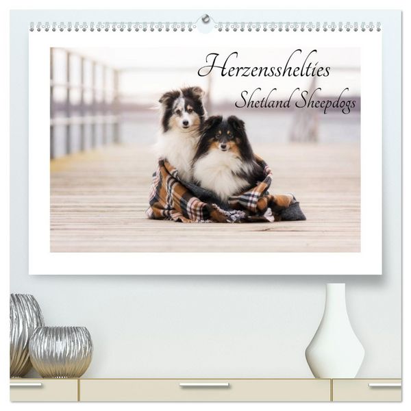 Produktbild: Herzensshelties - Shetland Sheepdogs (hochwertiger Premium Wandkalender 2026 DIN A2 quer), Kunstdruck in Hochglanz