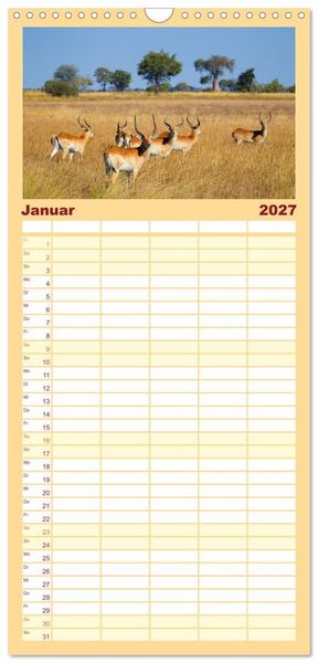 Produktbild: Familienplaner 2027 - Afrika Wildlife-Fotografien mit 5 Spalten (Wandkalender, 21 x 45 cm) CALVENDO