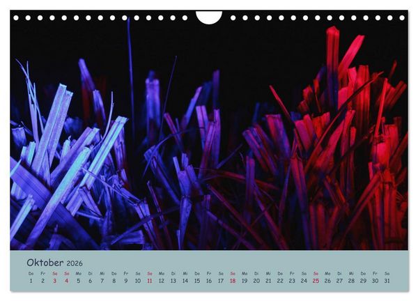 Produktbild: Leuchtfarben (Wandkalender 2026 DIN A4 quer), CALVENDO Monatskalender