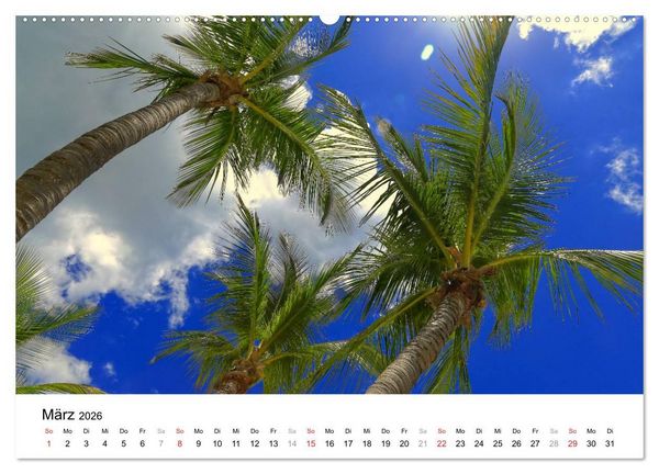 Produktbild: Unter der Sonne Floridas (Wandkalender 2026 DIN A2 quer), CALVENDO Monatskalender