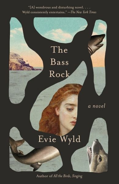 Produktbild: The Bass Rock