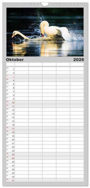Produktbild: Familienplaner 2026 - Der H&ouml;ckerschwan elegant und stolz mit 5 Spalten (Wandkalender, 21 x 45 cm) CALVENDO