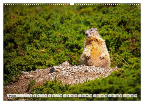 Produktbild: B&uuml;ndnerland (hochwertiger Premium Wandkalender 2026 DIN A2 quer), Kunstdruck in Hochglanz