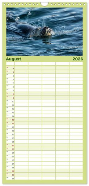 Produktbild: Familienplaner 2026 - Traumziel D&auml;nemark mit 5 Spalten (Wandkalender, 21 x 45 cm) CALVENDO