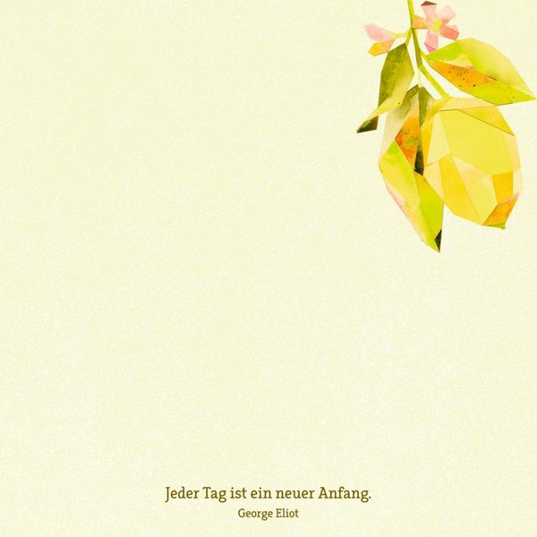 Produktbild: Zettelk&auml;stchen