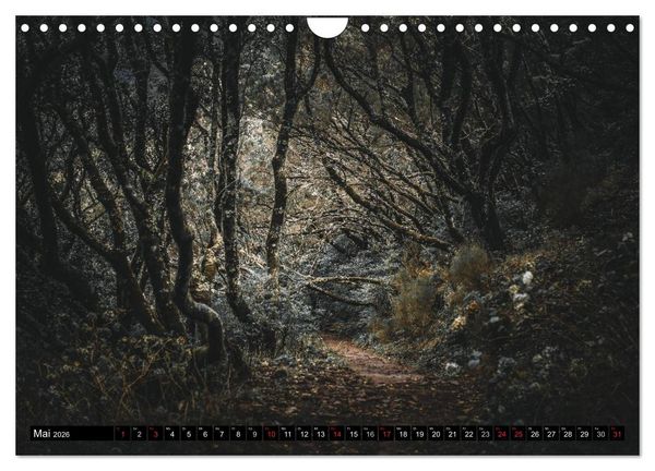 Produktbild: Madeira - Eine Perle des Atlantiks (Wandkalender 2026 DIN A4 quer), CALVENDO Monatskalender