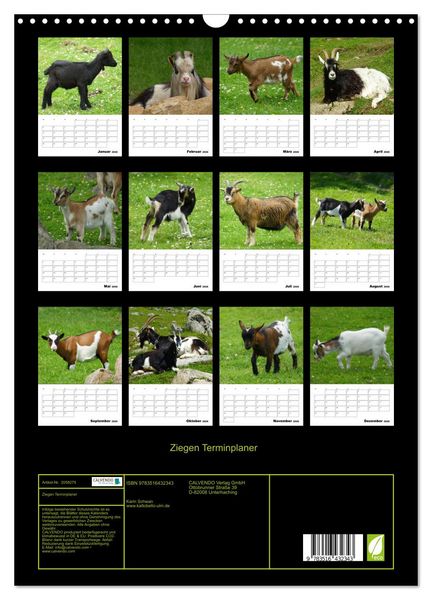 Produktbild: Ziegen Terminplaner (Wandkalender 2026 DIN A3 hoch), CALVENDO Monatskalender