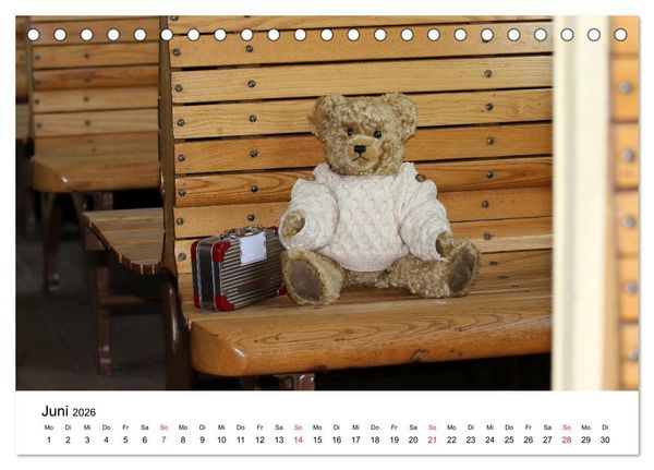 Produktbild: Teddys...jeder liebt sie (Tischkalender 2026 DIN A5 quer), CALVENDO Monatskalender