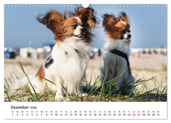 Produktbild: Strandurlaub mit Hund (Wandkalender 2026 DIN A3 quer), CALVENDO Monatskalender