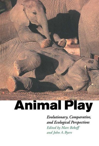 Produktbild: Animal Play