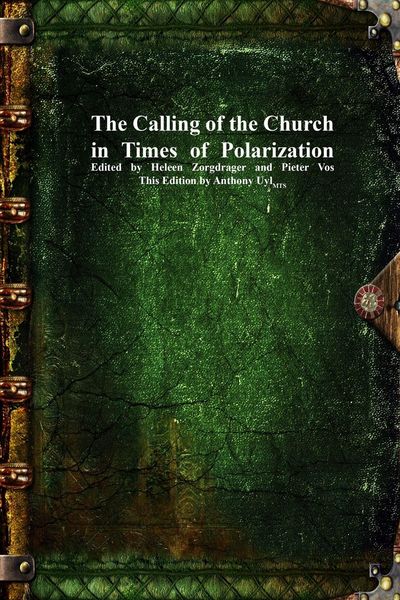 Produktbild: The Calling of the Church in Times of Polarization
