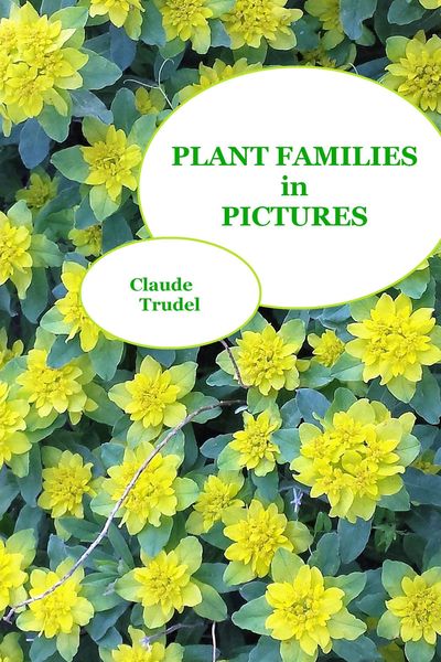 Produktbild: Plant Families in Pictures
